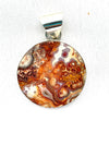 Oval Red Fossil Shell in Stone Pendant